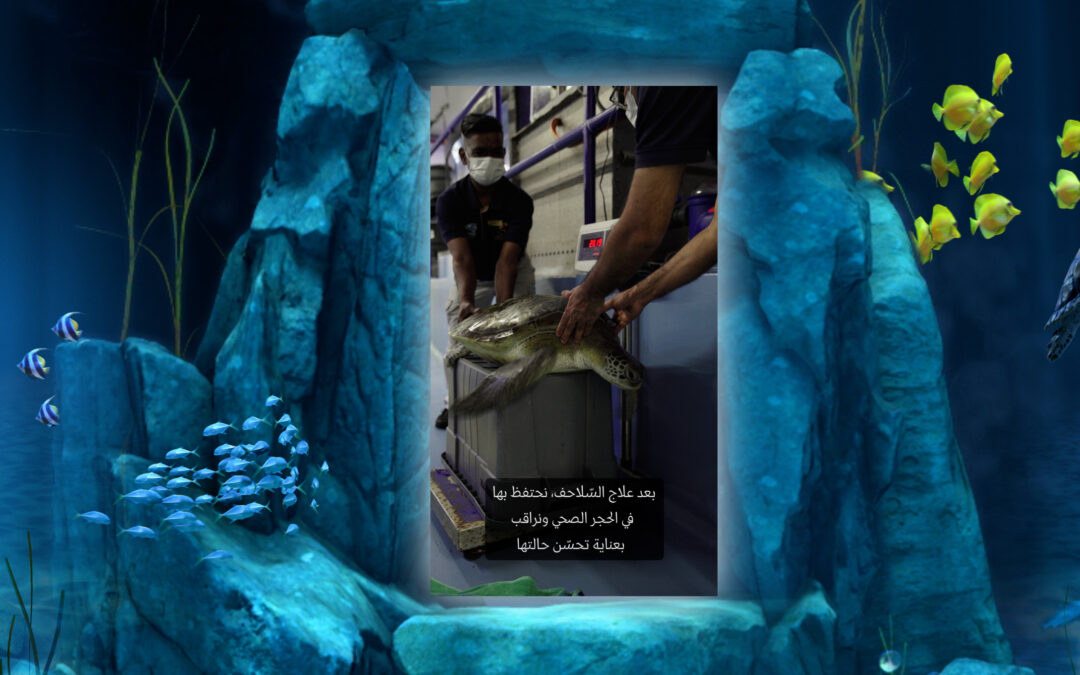 Immersive Aquarium Scene | Pixel Artworks | Burj Al Arab