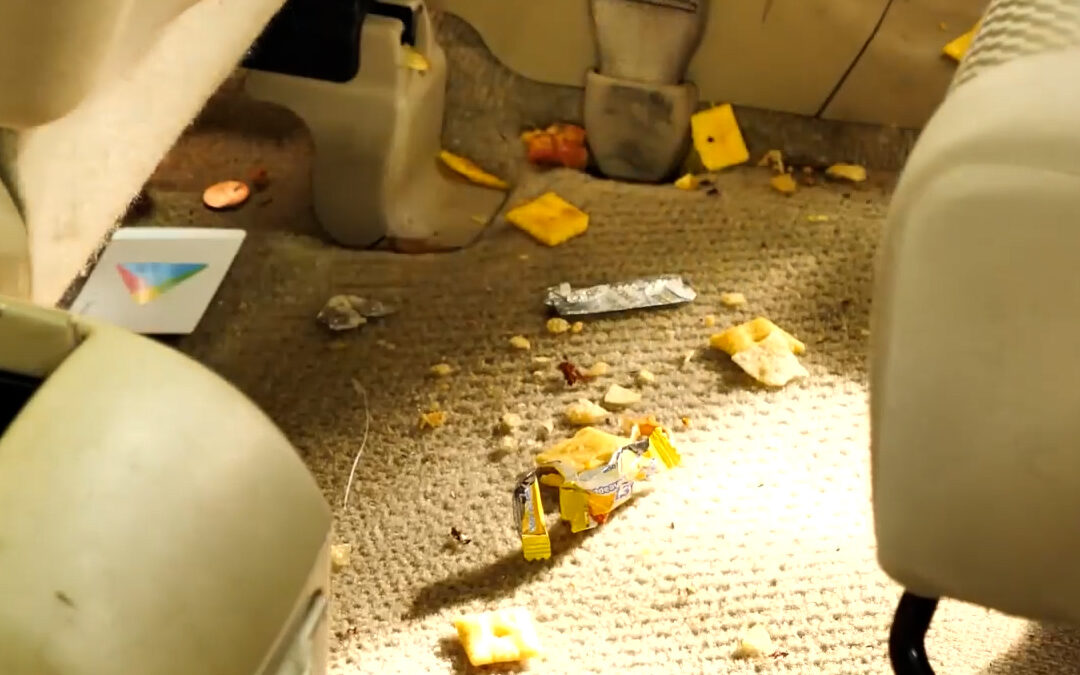 Complete Disaster Deep Cleaning | Jellysmack | Stauffer Garage