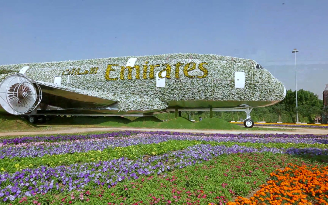 Emirates A380 at Dubai Miracle Garden | Emirates Airline