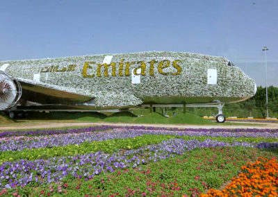 Emirates A380 at Dubai Miracle Garden | Emirates Airline