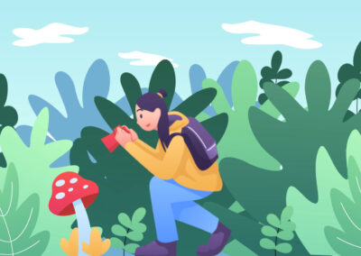 Nature Animated Scene | Popular Media