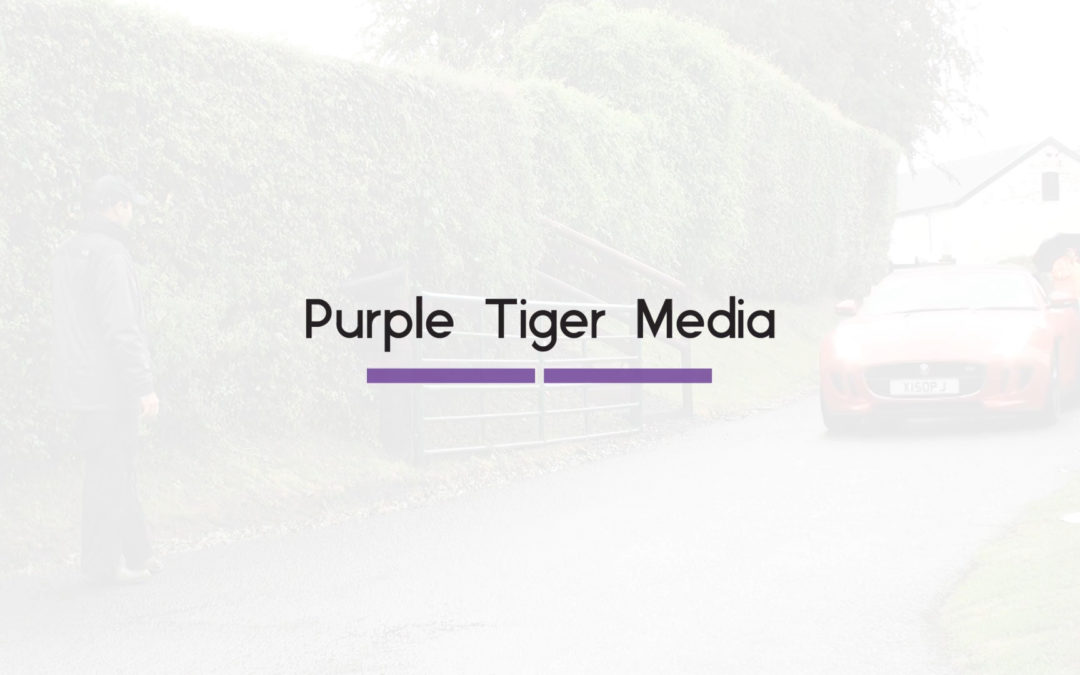 Purple Tiger Media Bumper | Purple Tiger Media