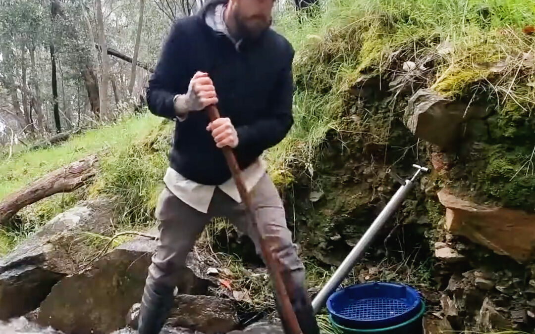 An Extremely Rare Type Of Gold Deposit | Jellysmack | Vo-Gus Prospecting